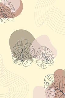 龜背芋葉插畫