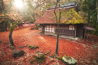 奈良公園の水谷茶屋