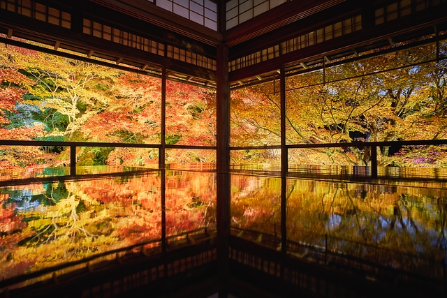 秋の瑠璃光院