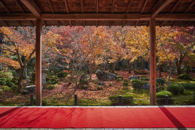 秋の圓光寺