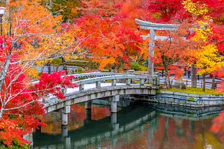 永觀堂楓紅