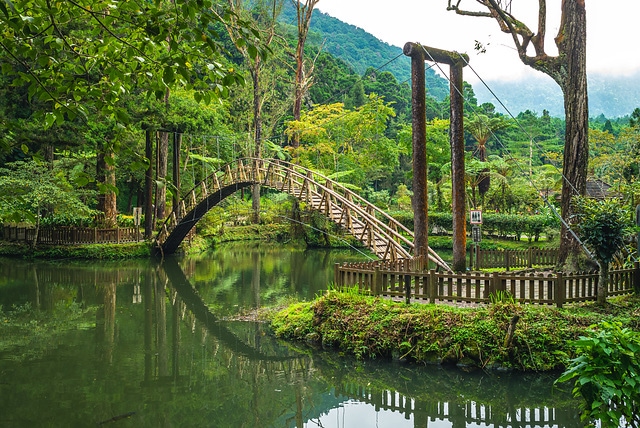 溪頭大學池
