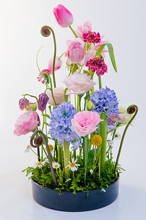 Colorful flower arrangement 色彩豐富的插花