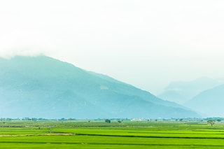 池上稻田