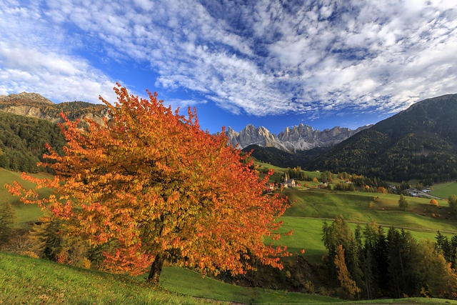 Autumn Funes Valley Dolomites Italy