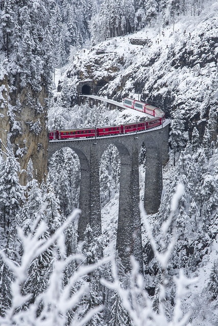 Bernina Red Train Switzerland