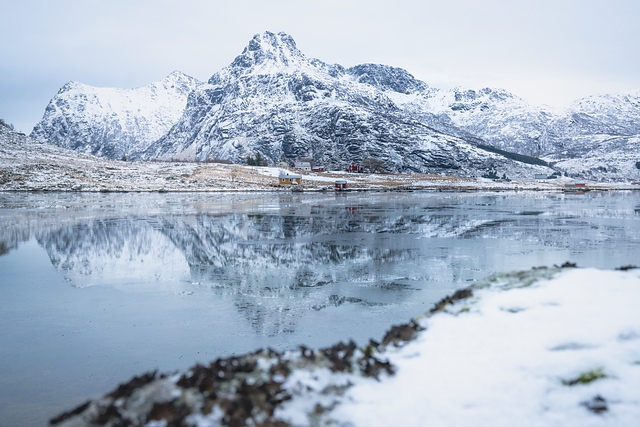 Norvegia_Lofoten_Flakstadpollen496863