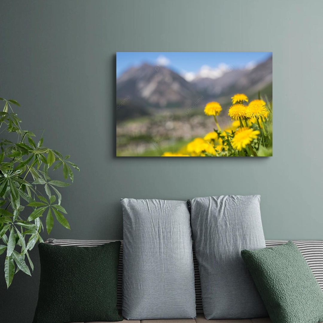 AltaValtellina-Bormio-Fioriture253506 | phootime 藝術微噴無框畫第一品牌