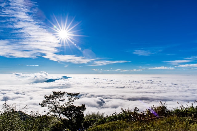 阿里山-隙頂-雲海