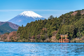 富士山及河口湖鳥居