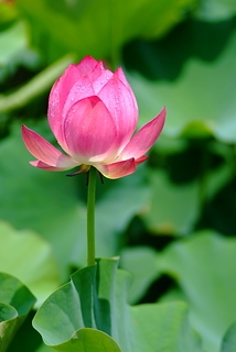 DSCF5261