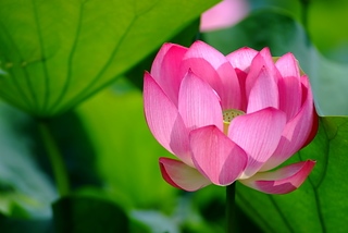 DSCF5281