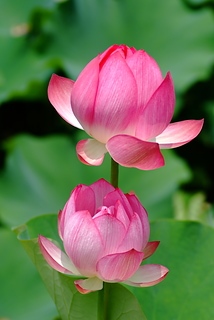DSCF5357