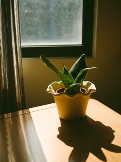 P1100306