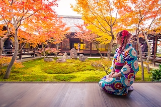 京都楓紅