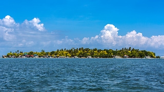 島