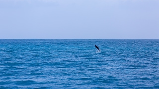 1B7A0785