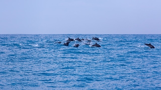 1B7A0797