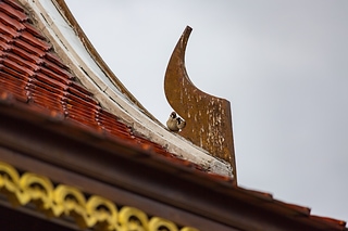 1B7A2274