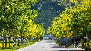 1B7A2885