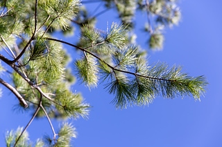 1B7A4093