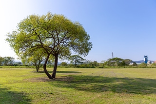 1B7A6720