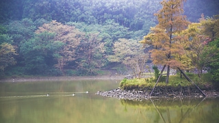 漫游