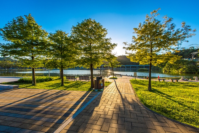 公園日出