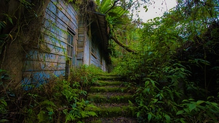 廢墟階梯