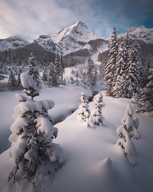 雪國/Snow's Realm