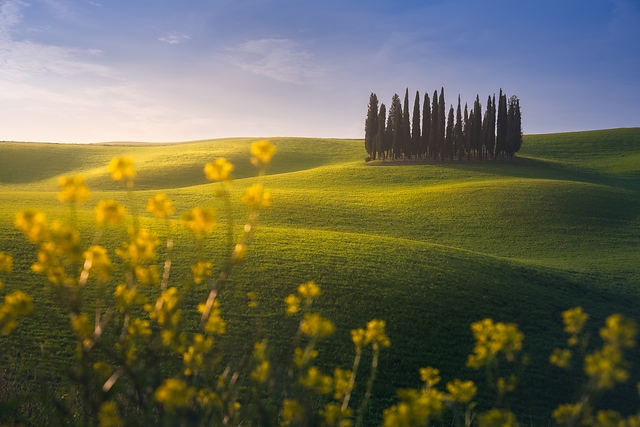 托斯卡納之春/ Toscana Spring