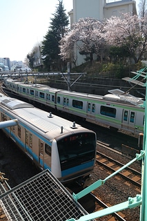 電車&櫻花