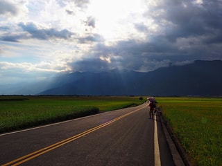 伯郎大道 Brown boulevard