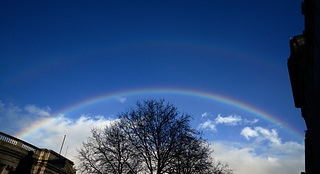 The rainbow and the love 彩虹和愛