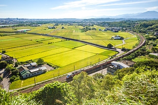 鄭漢步道-3