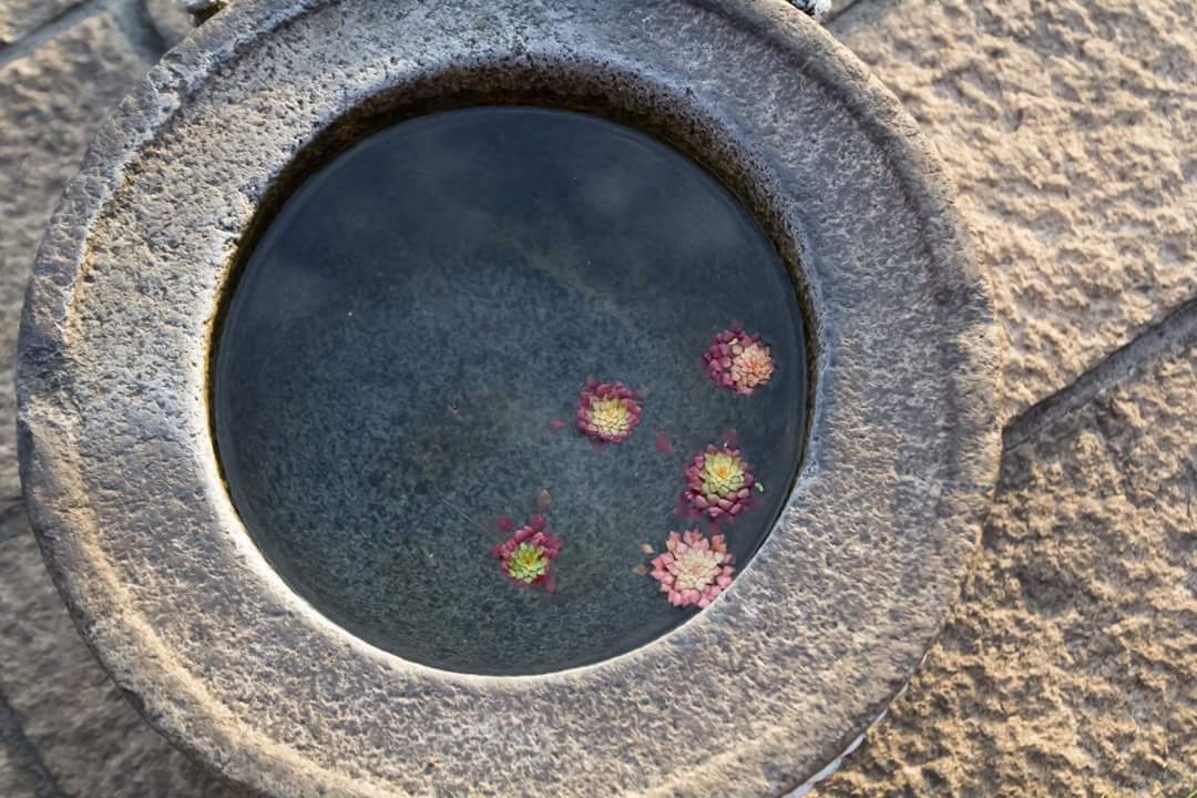 大同