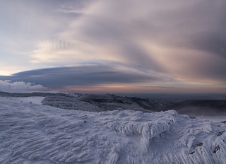Winter's kiss