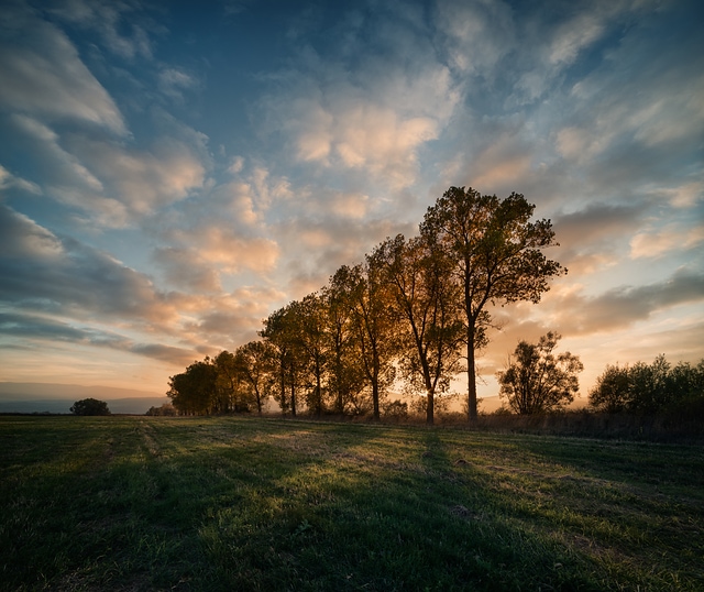 Autumn sunset