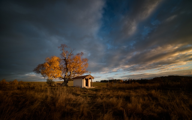 Fall's gold