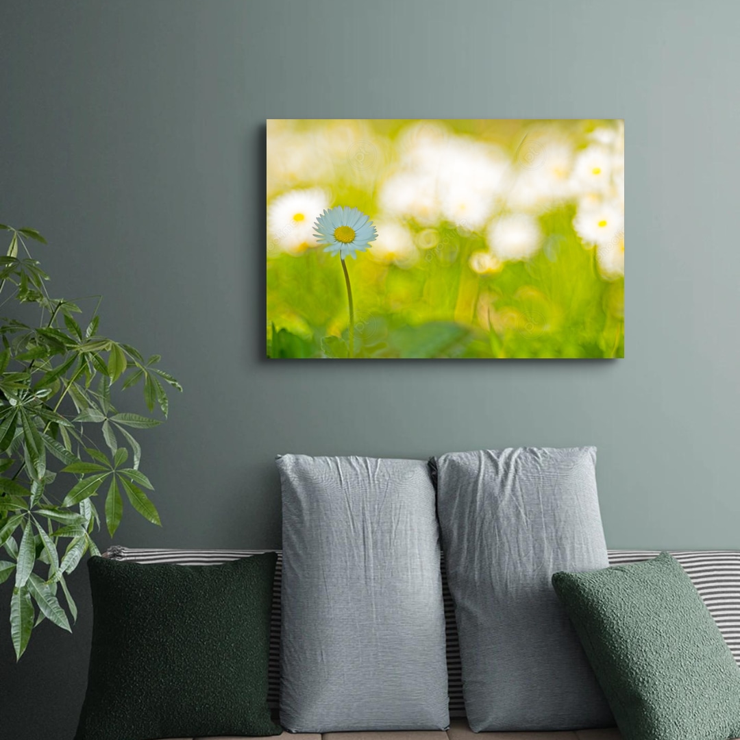 Spring | phootime 藝術微噴無框畫第一品牌