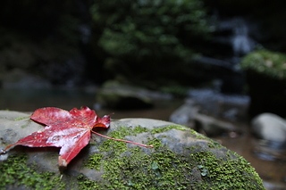 平靜